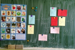 img-04-kursevi-engleskog-jezika-za-profesore