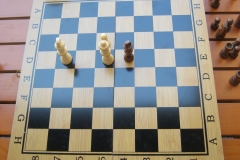 img-14-ekskurzija-profesora