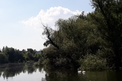 img-07-izlet-sremski-karlovci