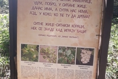 img-10-izlet-sremski-karlovci