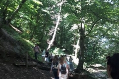 img-12-izlet-sremski-karlovci