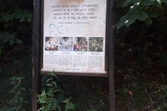 img-13-izlet-sremski-karlovci