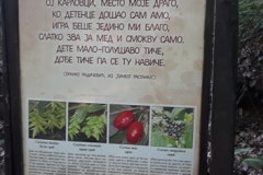 img-18-izlet-sremski-karlovci