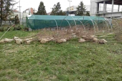 img-01-radovi-u-skolskom-rasadniku