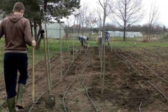 img-02-radovi-u-skolskom-rasadniku