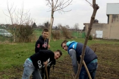 img-03-radovi-u-skolskom-rasadniku